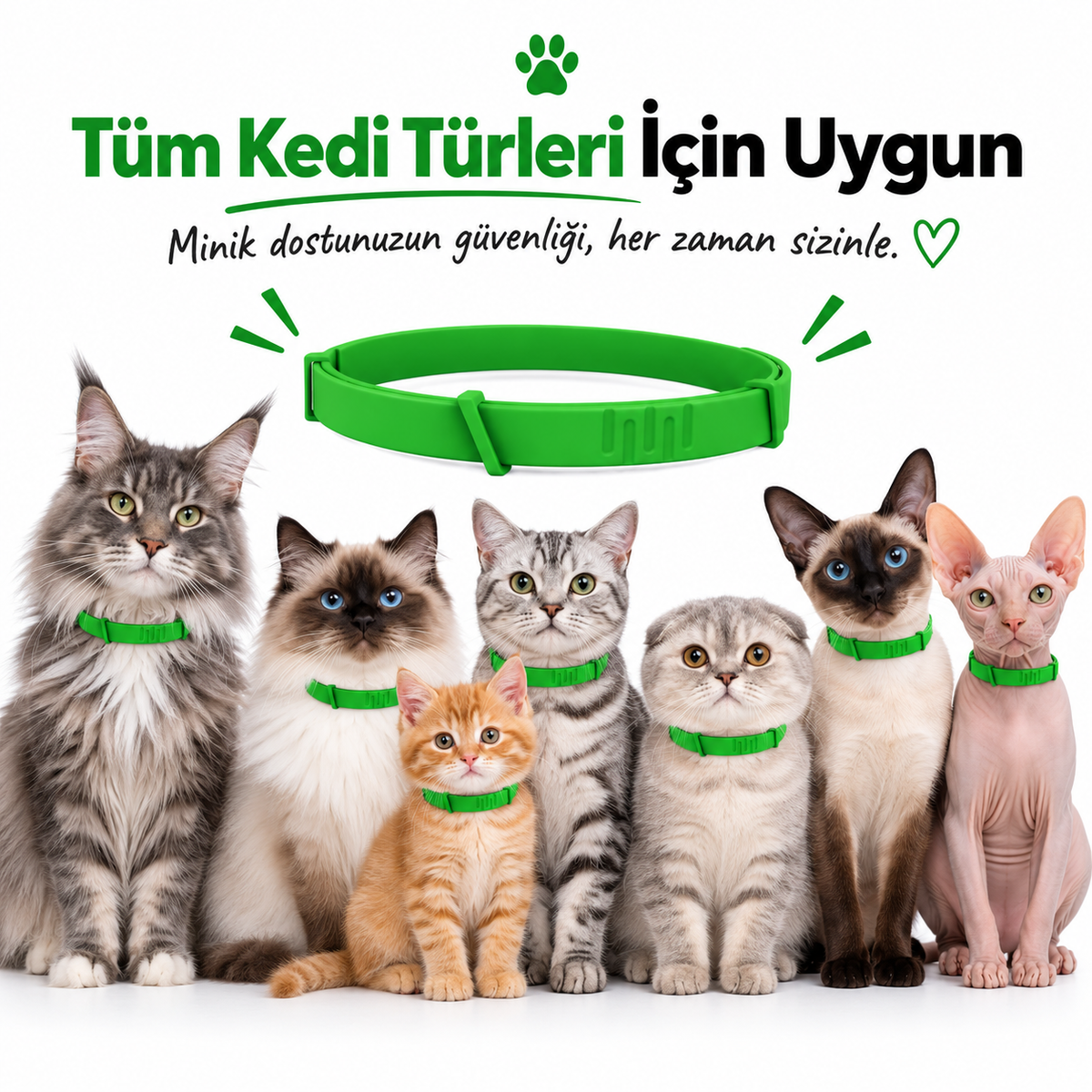 SafePati - Kene ve Pire Önleyici Kedi Tasması
