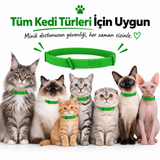 SafePati - Kene ve Pire Önleyici Kedi Tasması